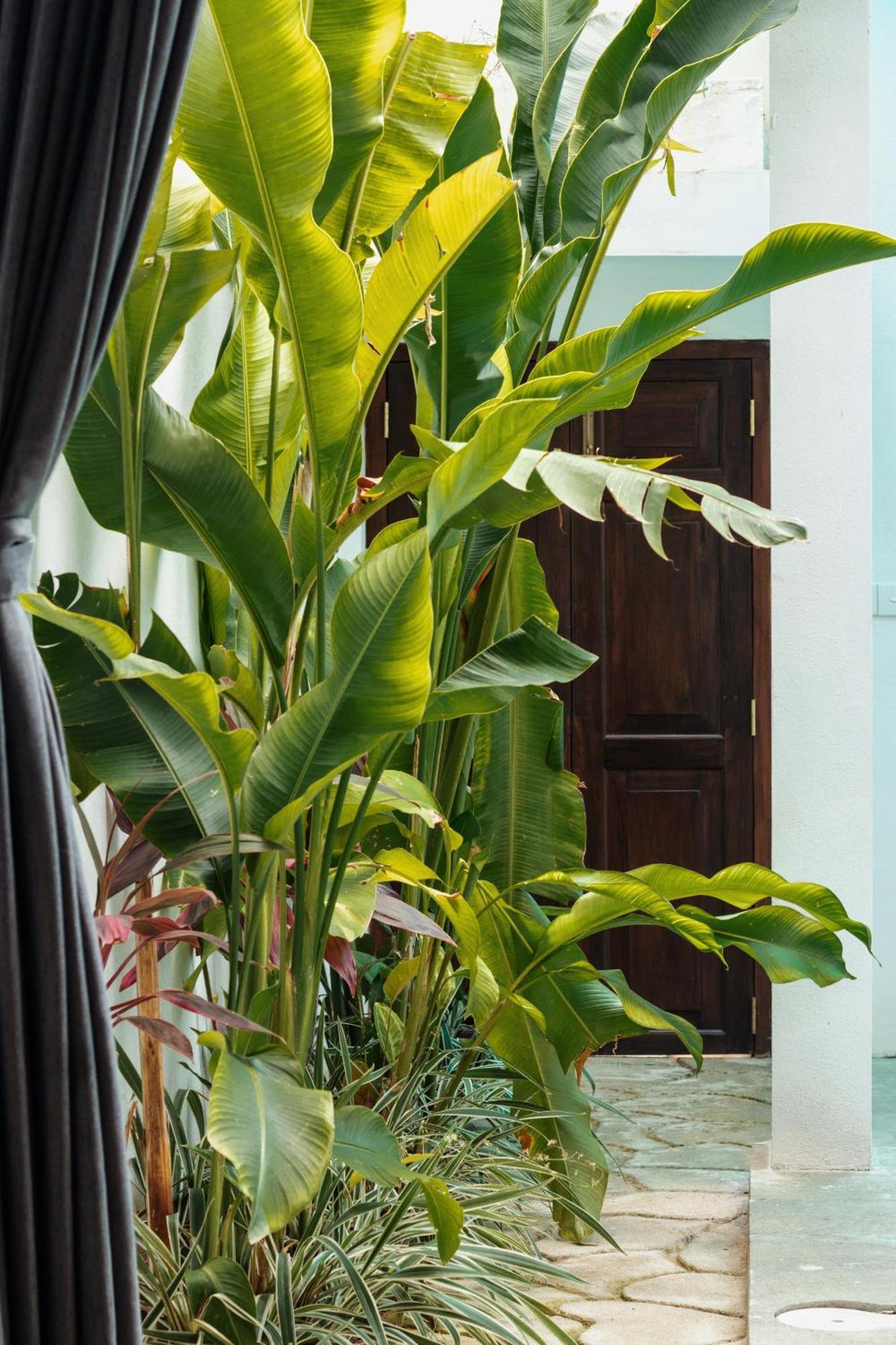 Private Pool Cabanas Ac - Angam Villas 히카두와 외부 사진